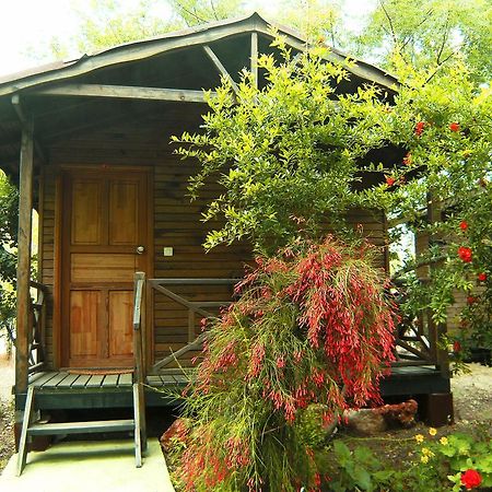Hôtel Merhaba Bungalow à Beykonak Chambre photo