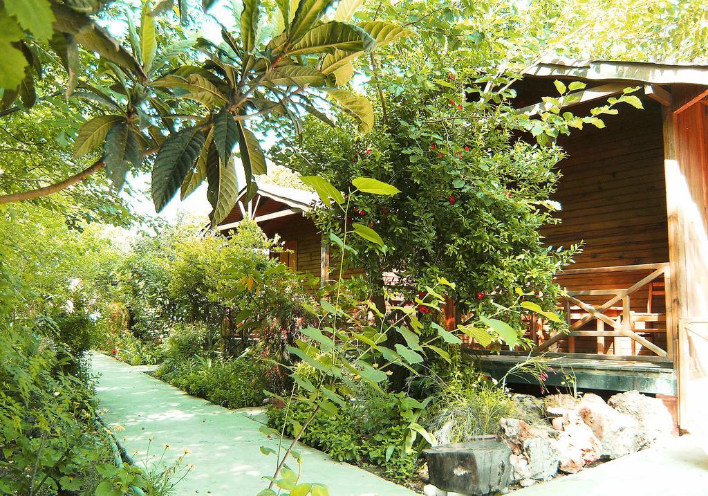 Hôtel Merhaba Bungalow à Beykonak Extérieur photo